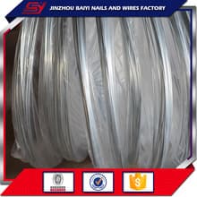 Supplier 12 Gauge Electro Galvanized Binding Wire